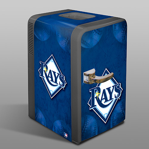 RaysFridge.jpg